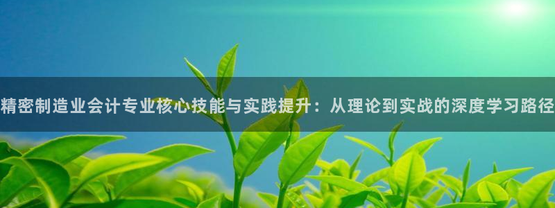彩神v8是真的挣钱吗安全吗：精密制造业会计专业核心技能与实践提升：从理论到实战的深度学习路径