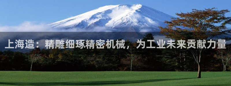 彩神vlll游戏特色：上海造：精雕细琢精密机械，为工业未来贡献力量