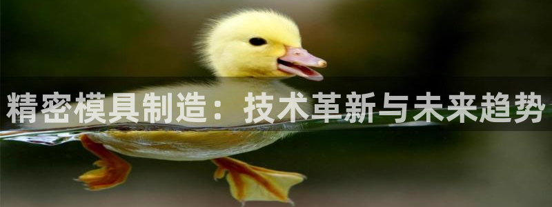 彩神vll首页：精密模具制造：技术革新与未来趋势