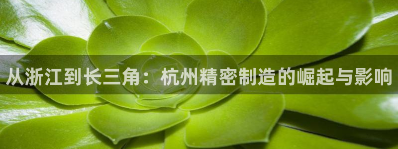 彩神ix官网：从浙江到长三角：杭州精密制造的崛起与影响