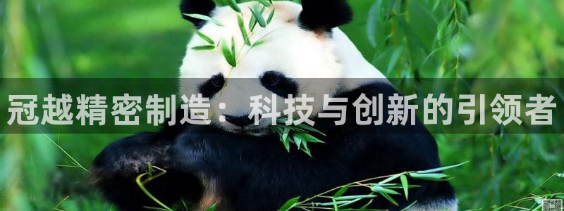 彩神怎么才能赢：冠越