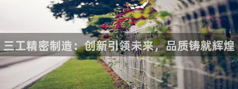 下载彩神争霸谁与我争锋：三工精密制造：创新引领未来，品质铸就辉煌