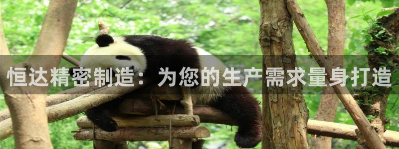 新版彩神v8登录不上