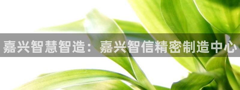 彩神vii购彩l心：嘉兴智慧智造：嘉兴智信精密制造中心