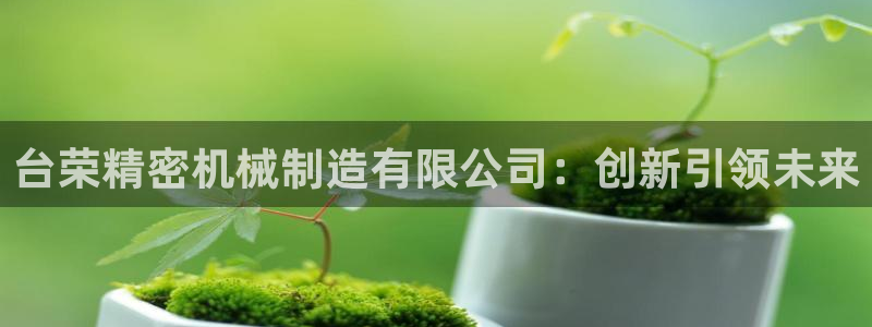 彩神合法吗.是国家认可的吗：台荣精密机械制造有限公司：创新引领未来