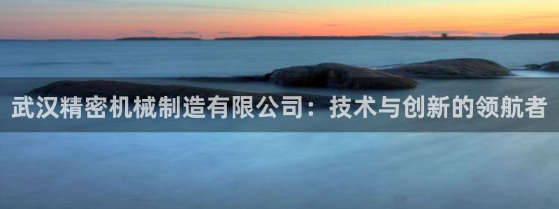 天天彩神welcome：武汉精密机械制造有限公司：技术与创新的领航者