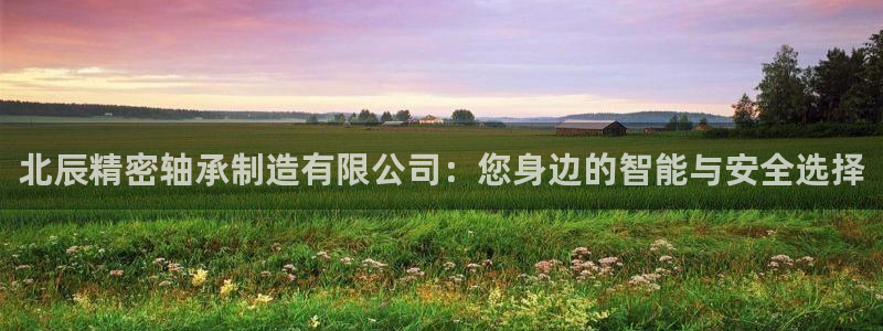 彩神大发官网：北辰精密轴承制造有限公司：您身边的智能与安全选择