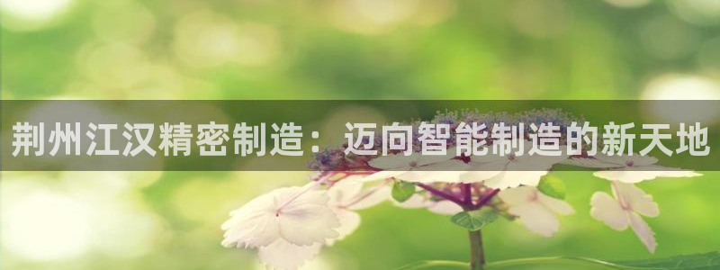 彩神vllⅰ购彩大厅