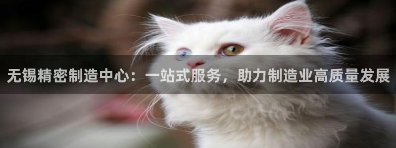 下载彩神v8：无锡精密制造中心：一站式服务，助力制造业高质量发展