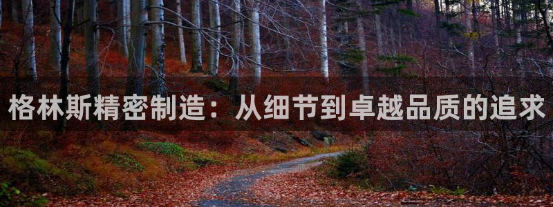 大发彩神最高邀请码：格林斯精密制造：从细节到卓越品质的追求