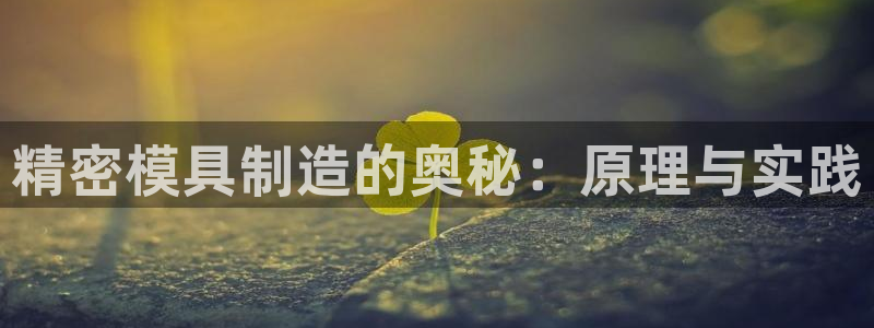 彩神骗局：精密模具制造的奥秘：原理与实践