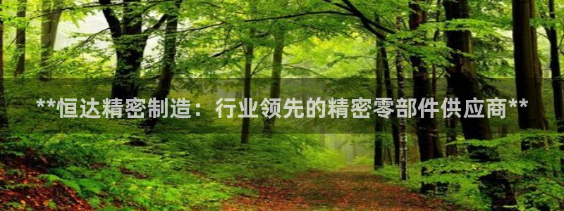 彩神ix平台：**恒达精密制造：行业领先的精密零部件供应商**