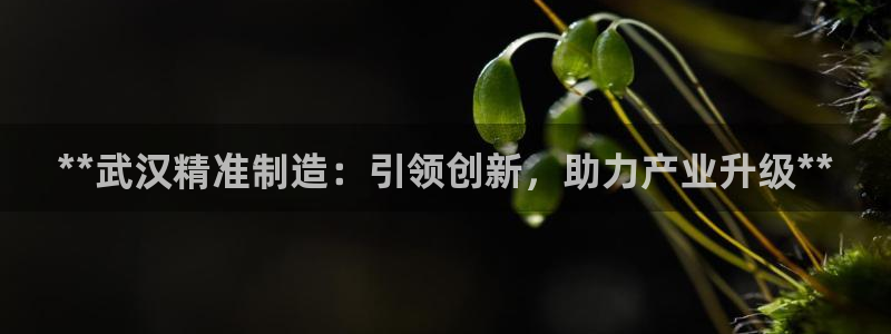 彩神争霸平台