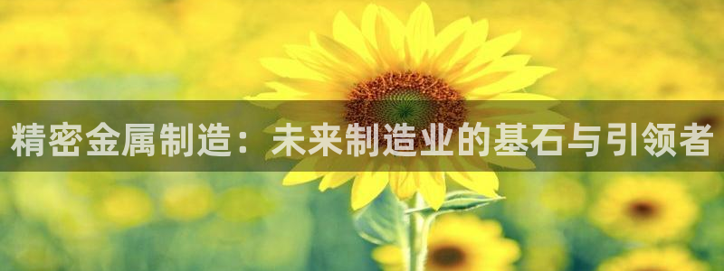 彩神是正规平台吗知乎