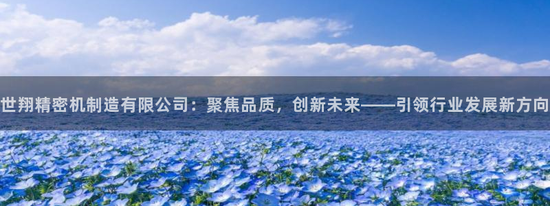 彩神iv真的能赚钱吗：世翔精密机制造有限公司：聚焦品质，创新未来——引领行业发展新方向