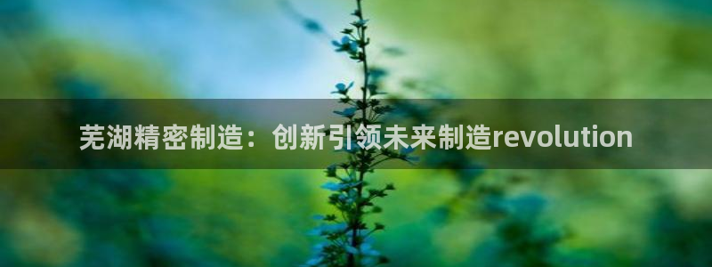 大发彩神最高邀请码：芜湖精密制造：创新引领未来制造revolution