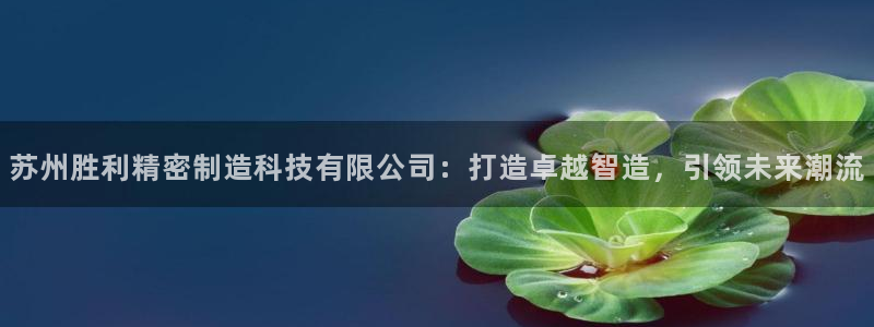 彩神v秘聊号码