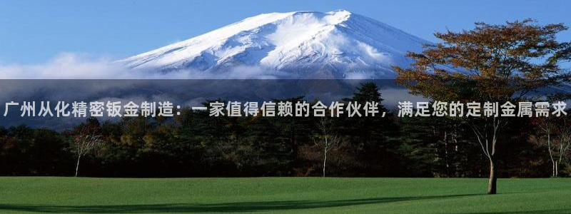 彩神vii官网大赢家：广州从化精密钣金制造：一家值得信赖的合作伙伴，满足您的定制金属需求