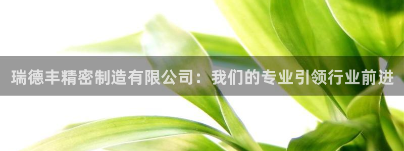 彩神v|：瑞德丰精密制造有限公司：我们的专业引领行业前进