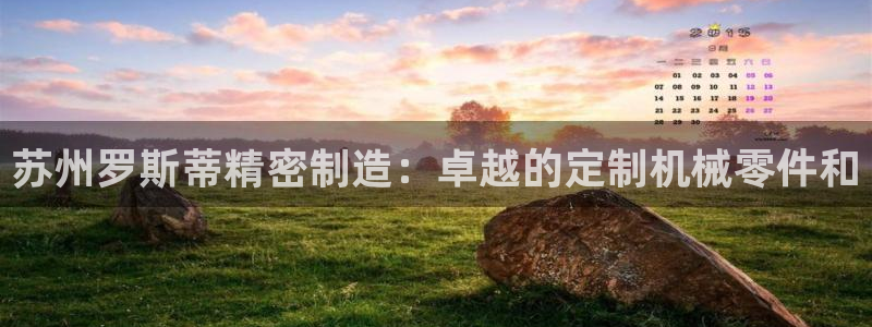 彩神v1官网：苏州罗斯蒂精密制造：卓越的定制机械零件和