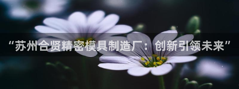 彩神v网赌软件下载：“苏州合贤精密模具制造厂：创新引领未来”