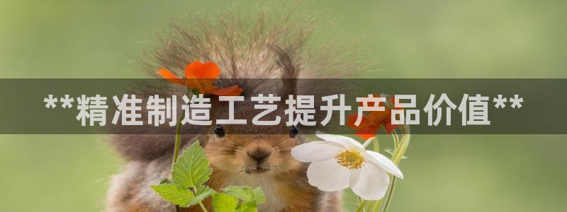 新版彩神v8登录教程