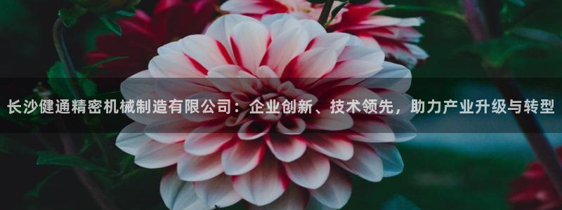 彩神8彩平台官网