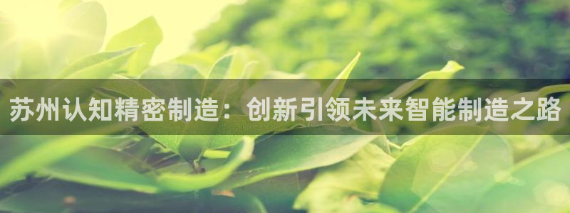 彩神网官网登录